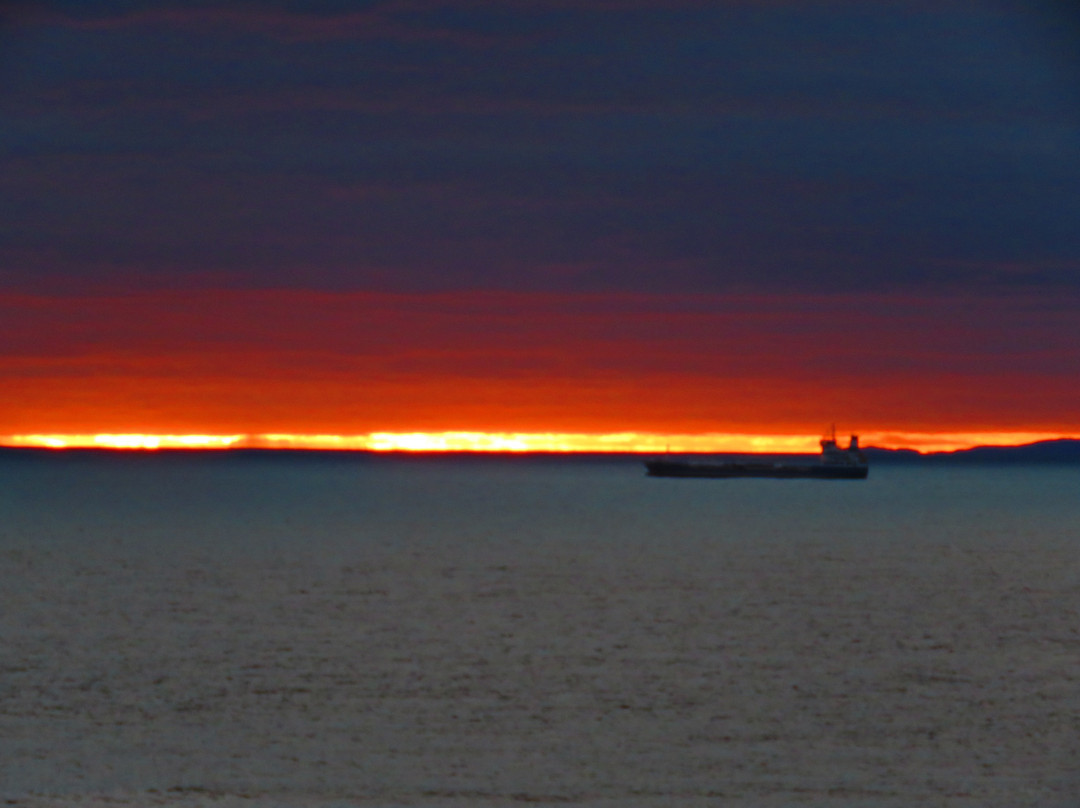 Crail Harbour-Crail必去景点