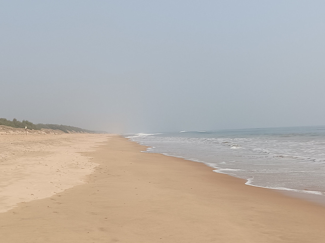 Chilika Lake-普里必去景点