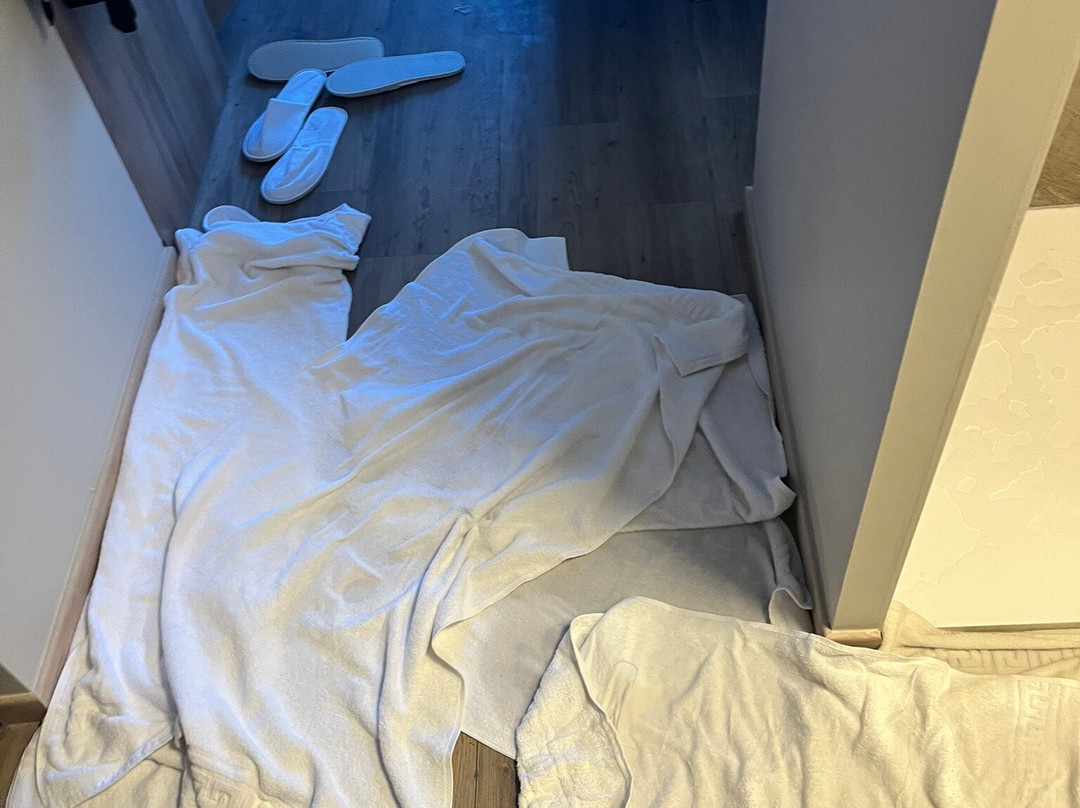 SOWELL Hôtels l'Alpe Blanche