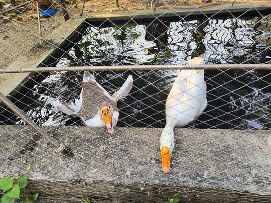 Le Roi Digha Hotel主图