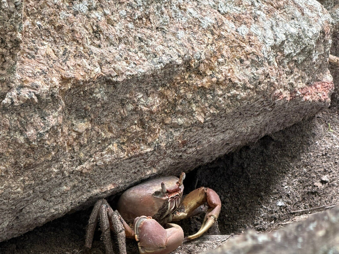 Union Estate Park-拉迪格岛必去景点