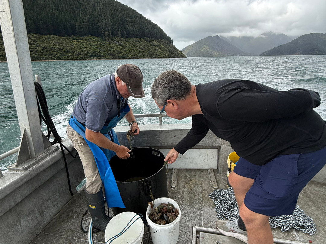 Pelorus Tours - Private Tours-哈夫洛克必去景点