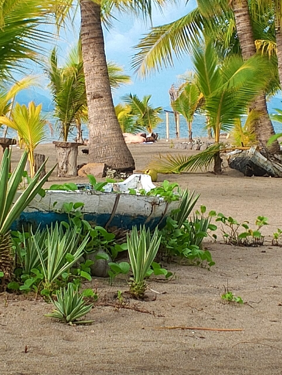 Coconut Garden Beach Resort-官方