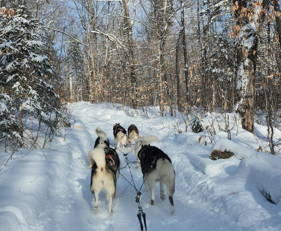 Secrets Nordiques Day Tours-博普雷必去景点