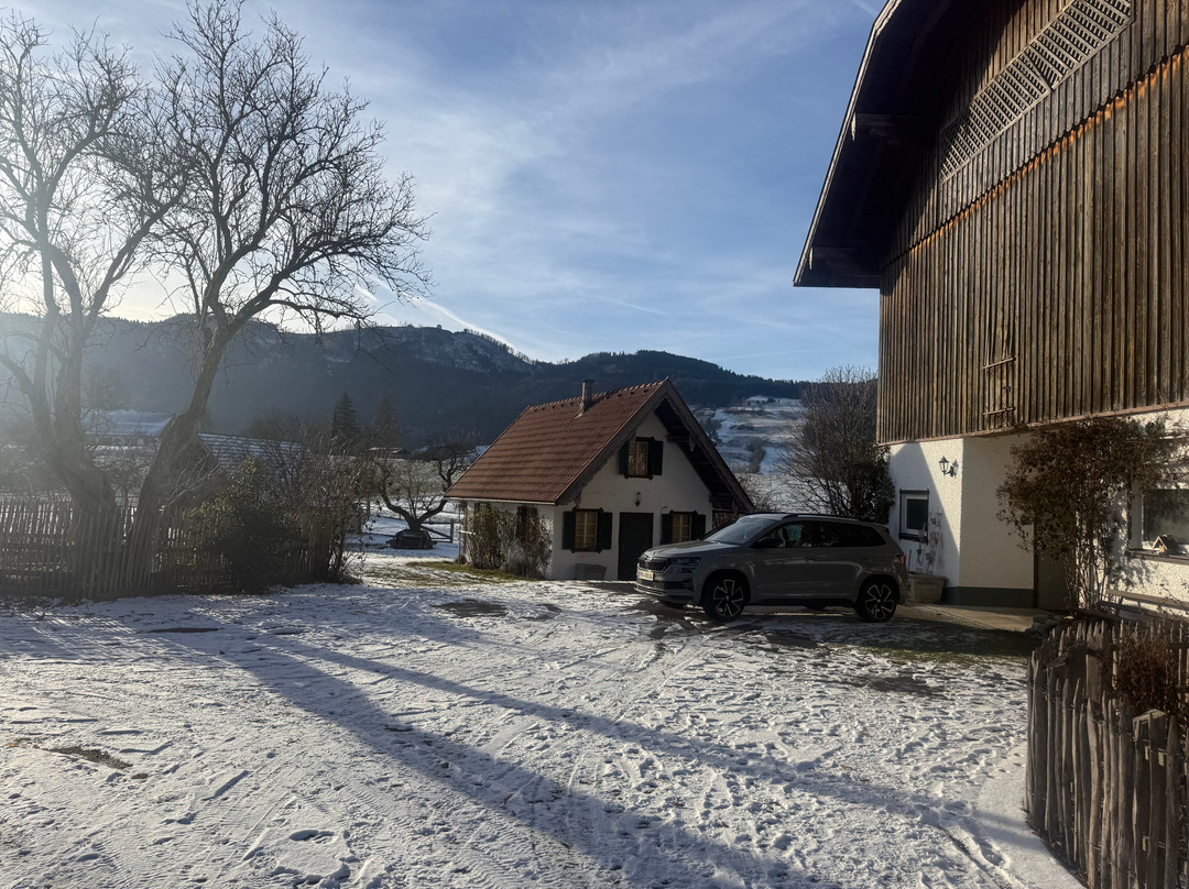 Ederbauer am Irrsee主图