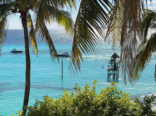 Cancun Adventures - Luxury Sailing & Snorkeling-普拉亚德尔卡曼必去景点