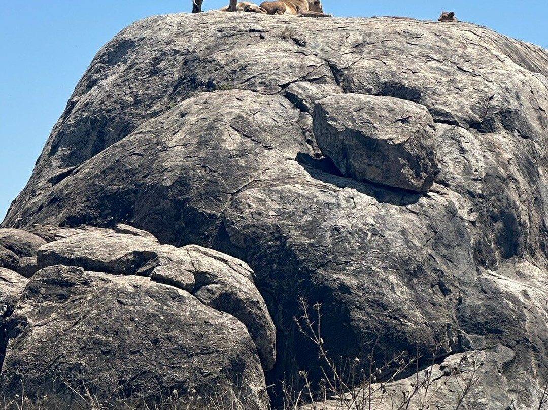 Tanzania Roadside Expeditions-阿鲁沙必去景点