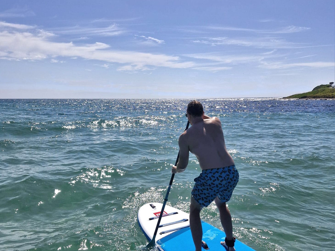 Stand Up Paddle Boarding Shellharbour-谢尔哈伯必去景点