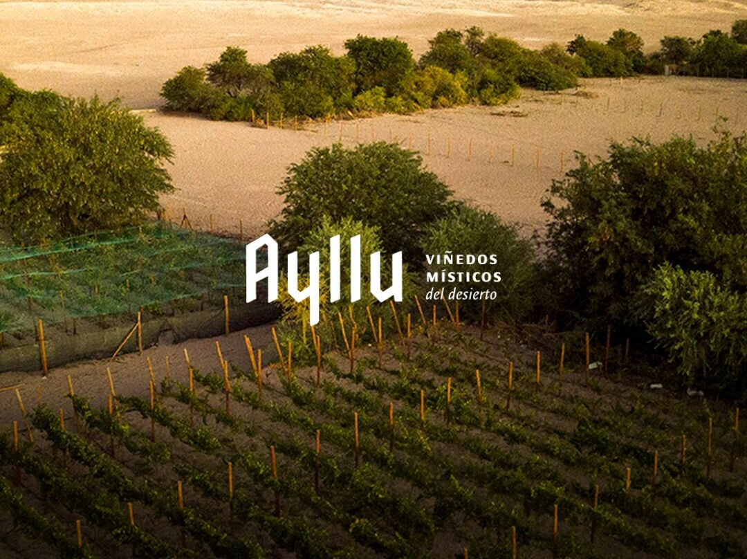 Viña Ayllu