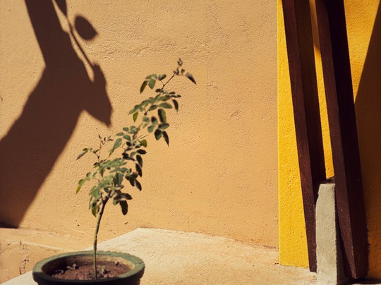 杰特威阿育吠陀酒店主图