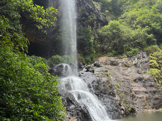 Green Discovery B&B Tamarind Falls 7 Cascades主图