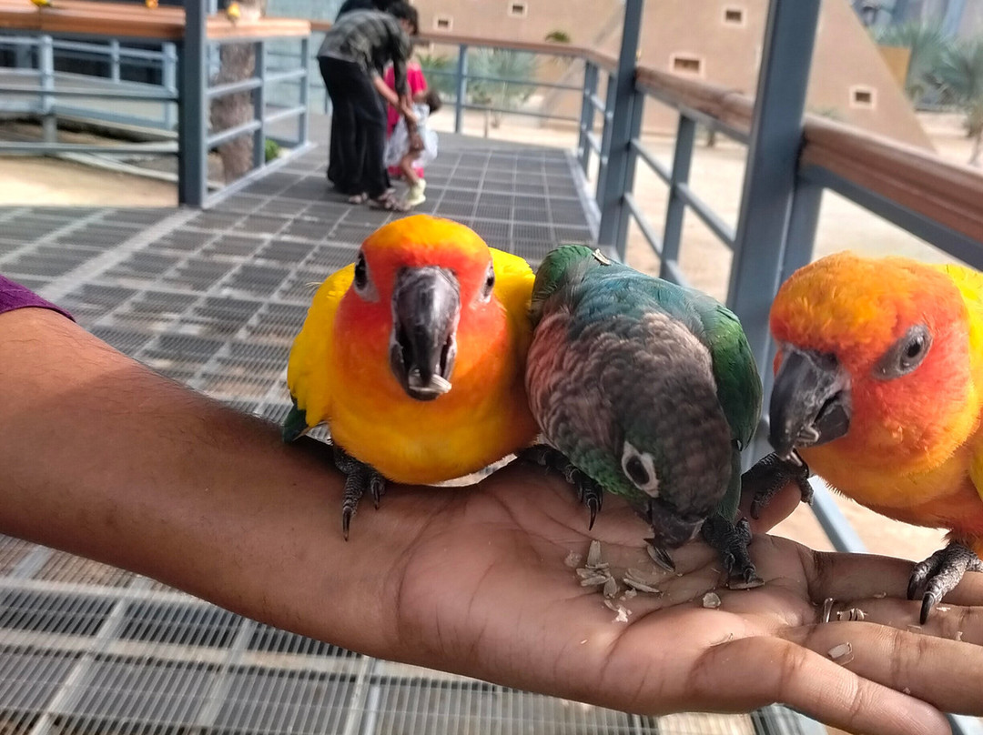 Trichy Birds Park-Tiruchirappalli District必去景点