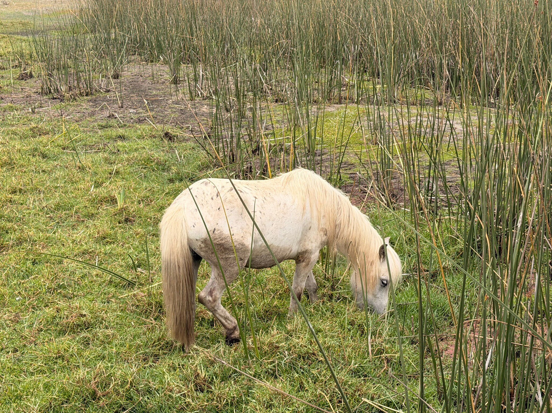 Posada del Parque-Quintero必去景点