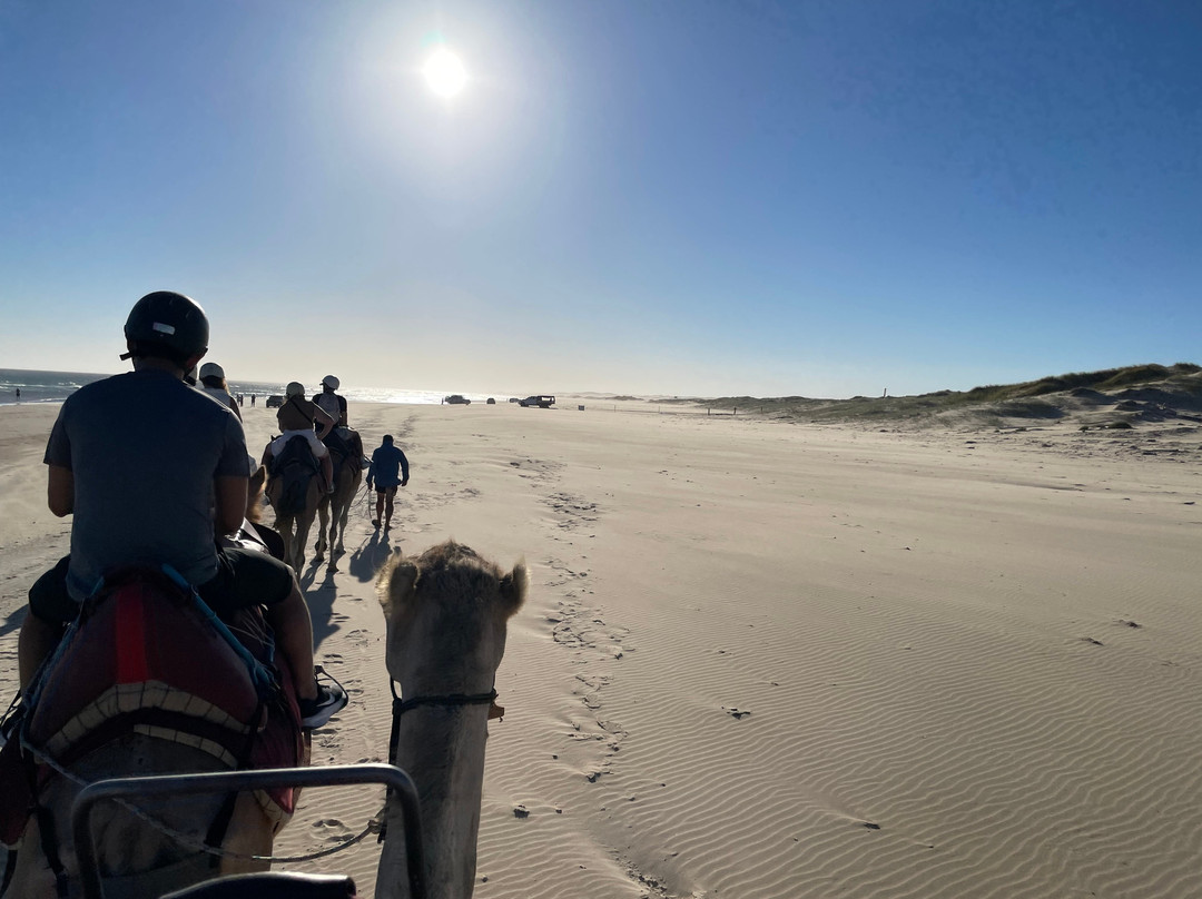 Oakfield Ranch-安娜湾必去景点