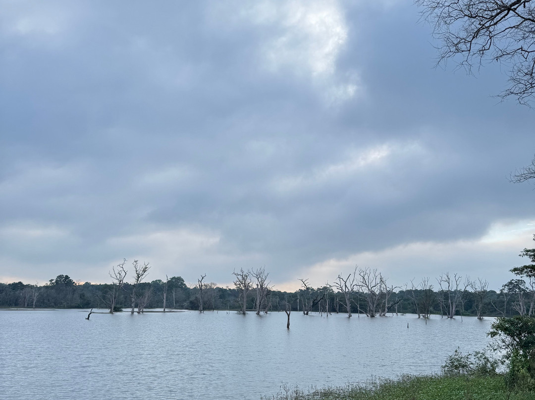 Safari With Asanka-锡吉里亚必去景点