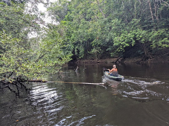 Amazon Green Island tour-Novo Airao必去景点