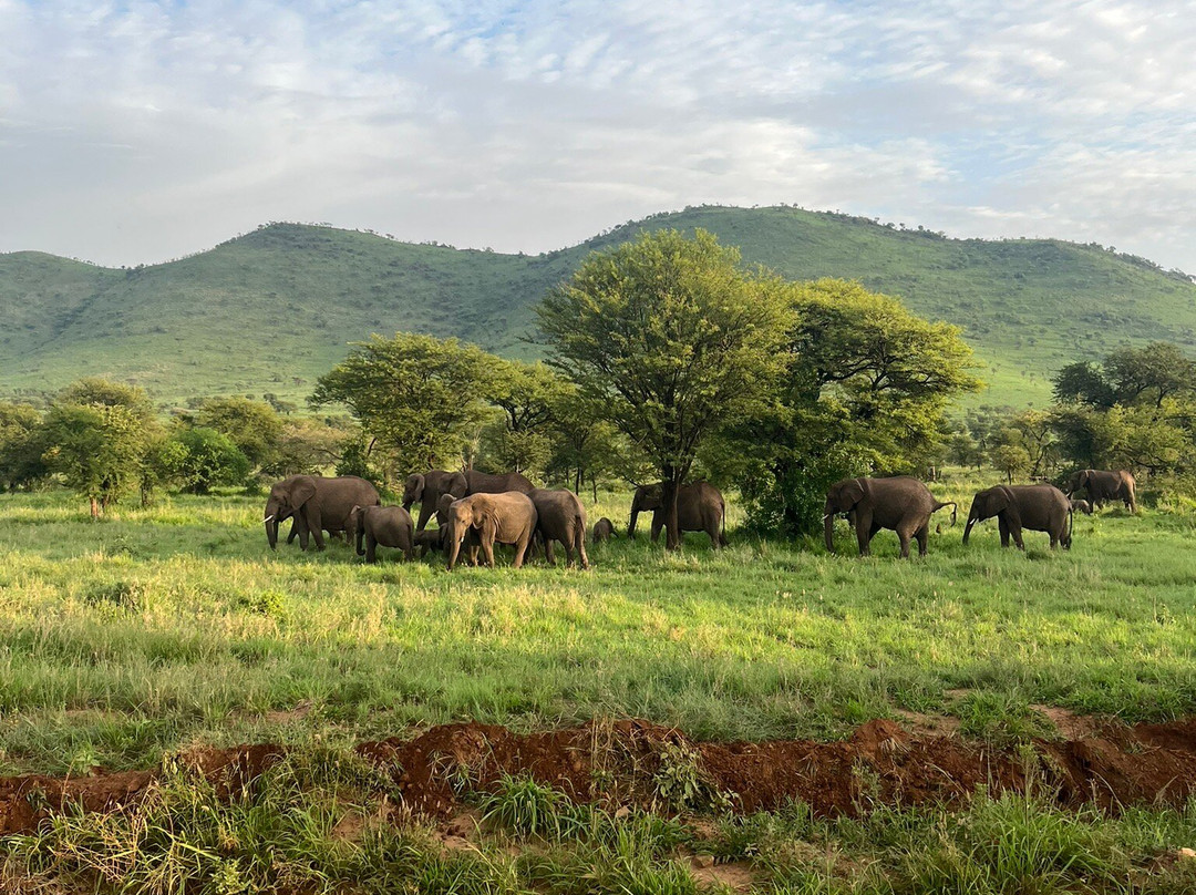 易捷旅游-一日游-阿鲁沙必去景点