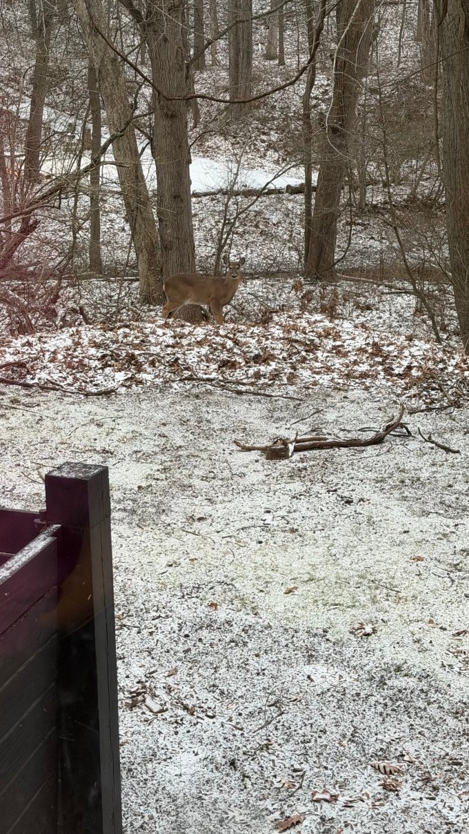 社区酒店-大海滩-官方