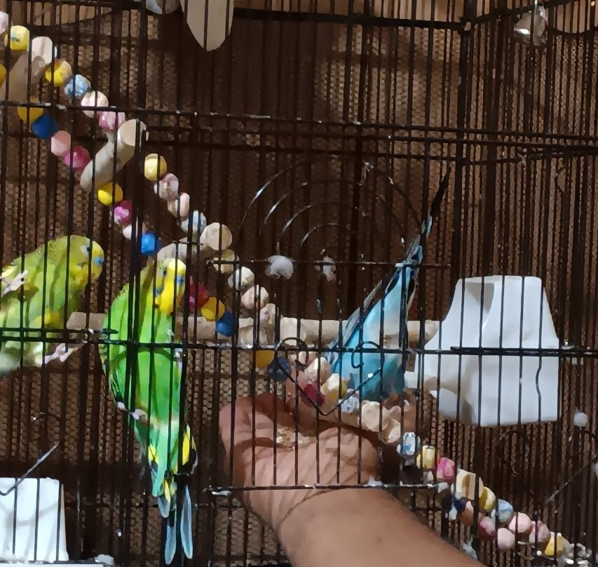 Via Aquarium-Schenectady必去景点