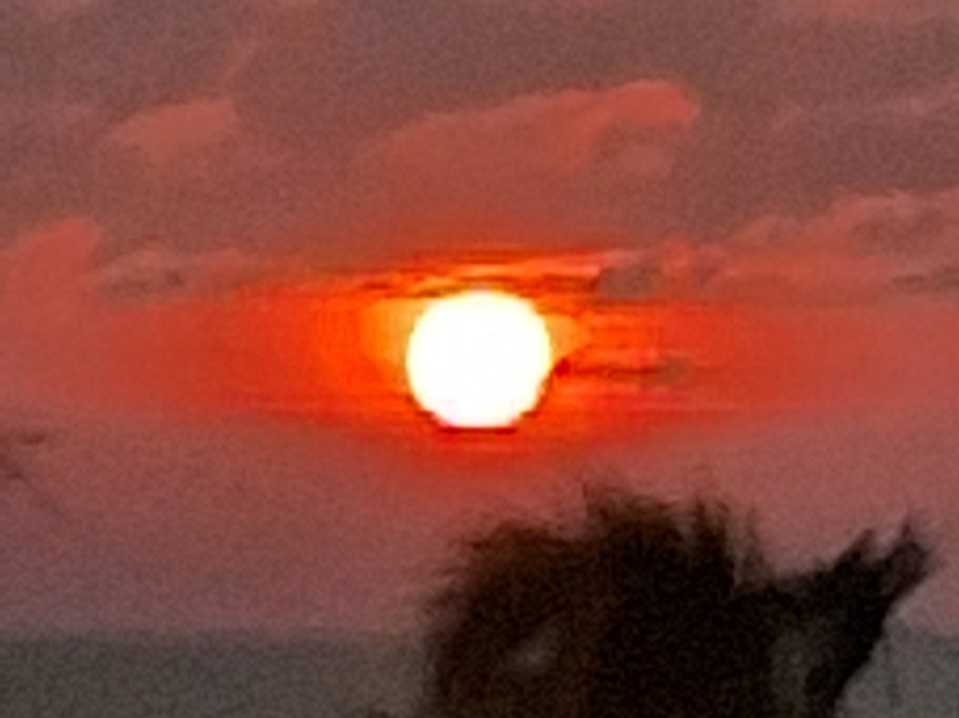 The Ocean Pearl Hotel主图