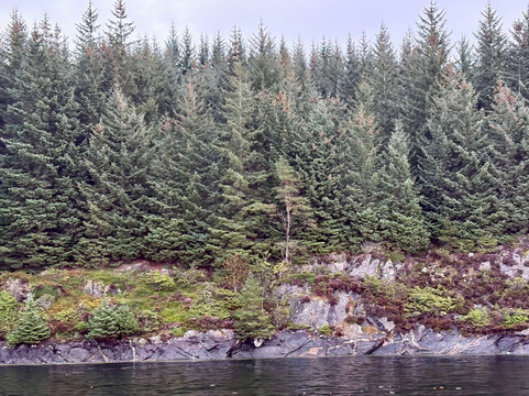 Norway in a nutshell®-卑尔根必去景点