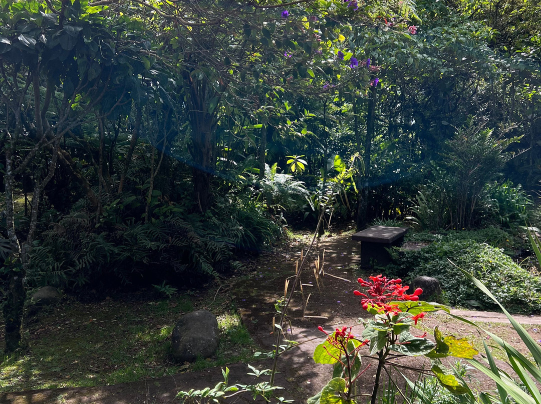 Arenas Travel Costa Rica-埃斯卡松必去景点