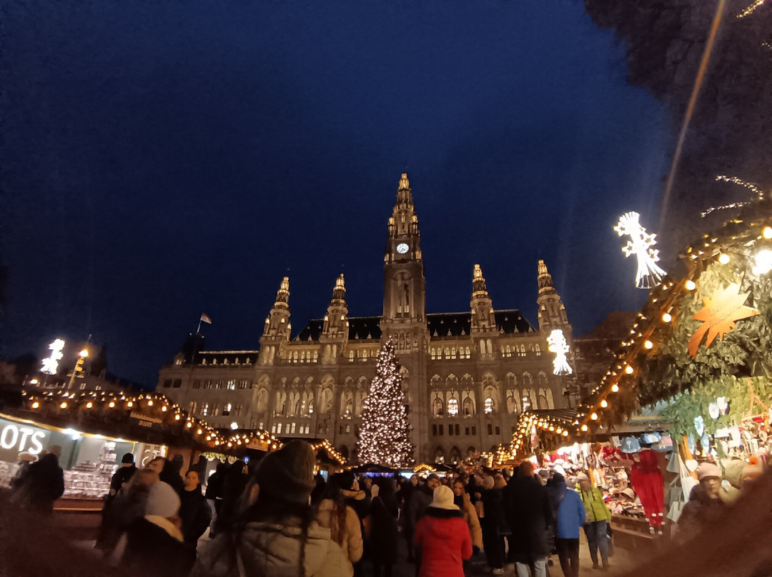 Wiener Christkindlmarkt-维也纳必去景点