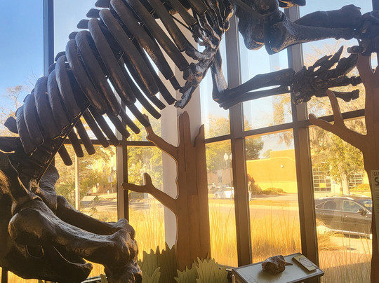 Cape Fear Museum-威尔明顿必去景点