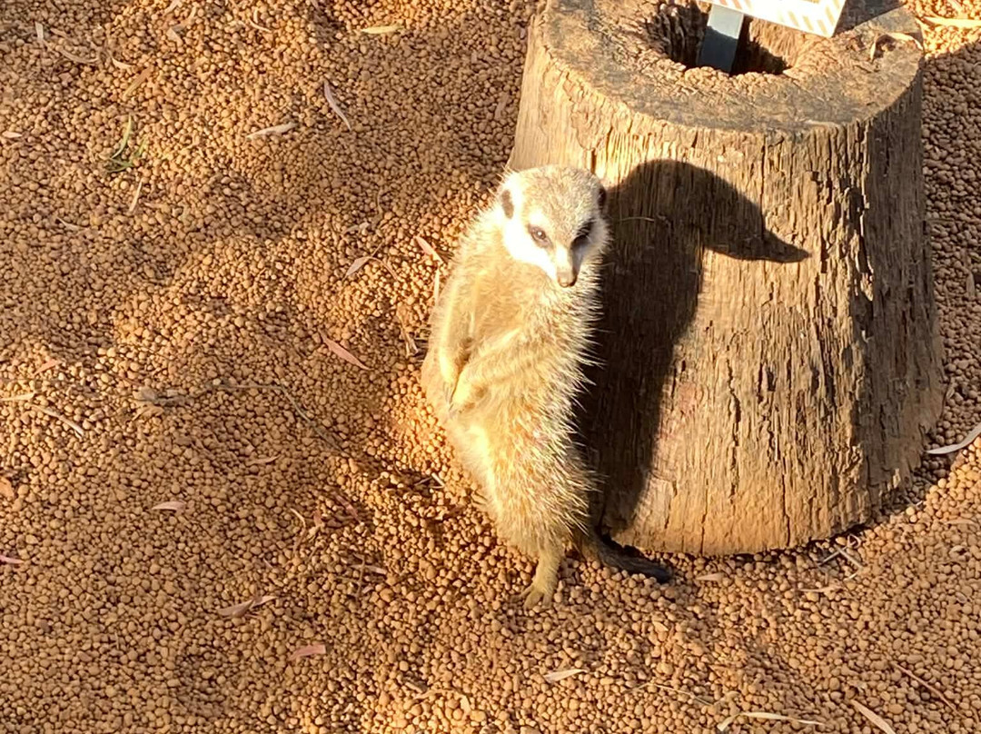 The Hike Collective-珀斯必去景点