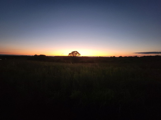Fry Family Park - Stark Parks