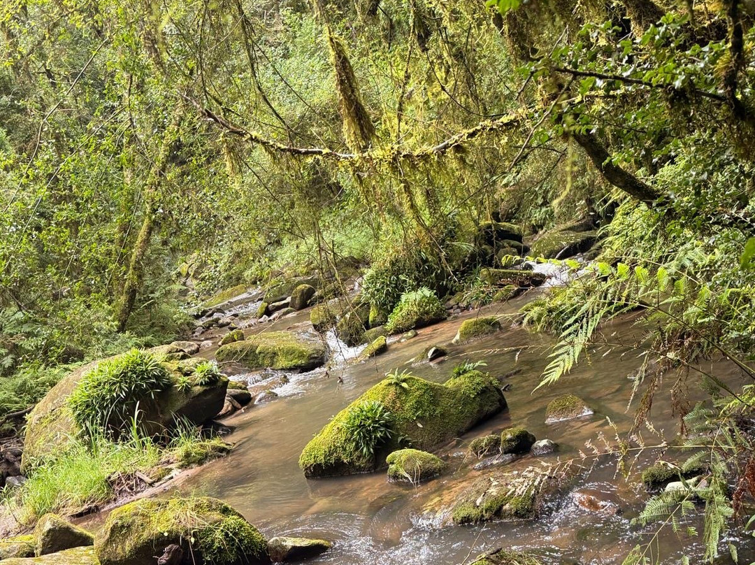 Kukummi Lodge (formerly Mackaya Bella Country Lodge)主图