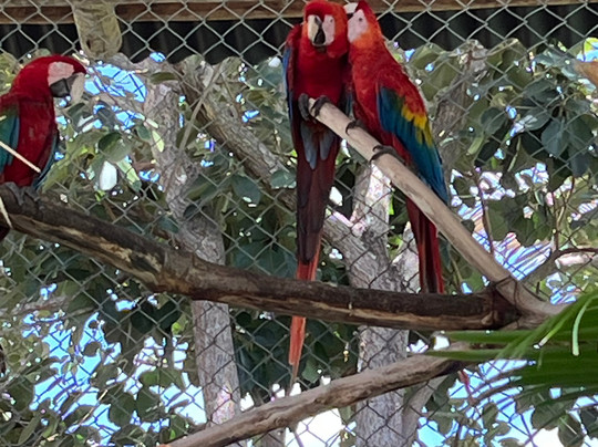 Parque Arvorar-Aquiraz必去景点