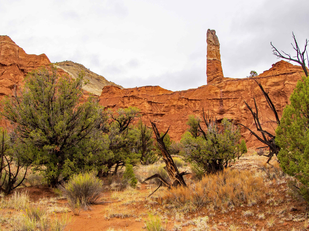 Kodachrome Basin State Park-Cannonville必去景点