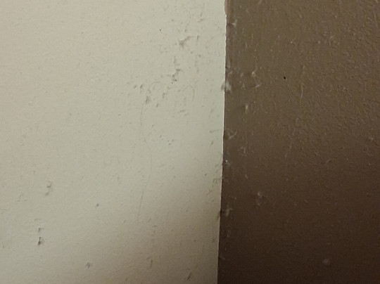 Green Gables Motel主图