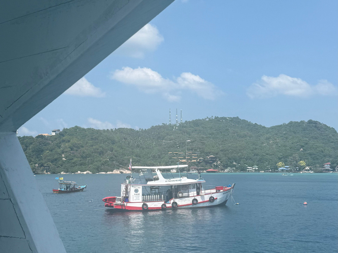 We Travel Snorkeling Adventures-涛岛必去景点