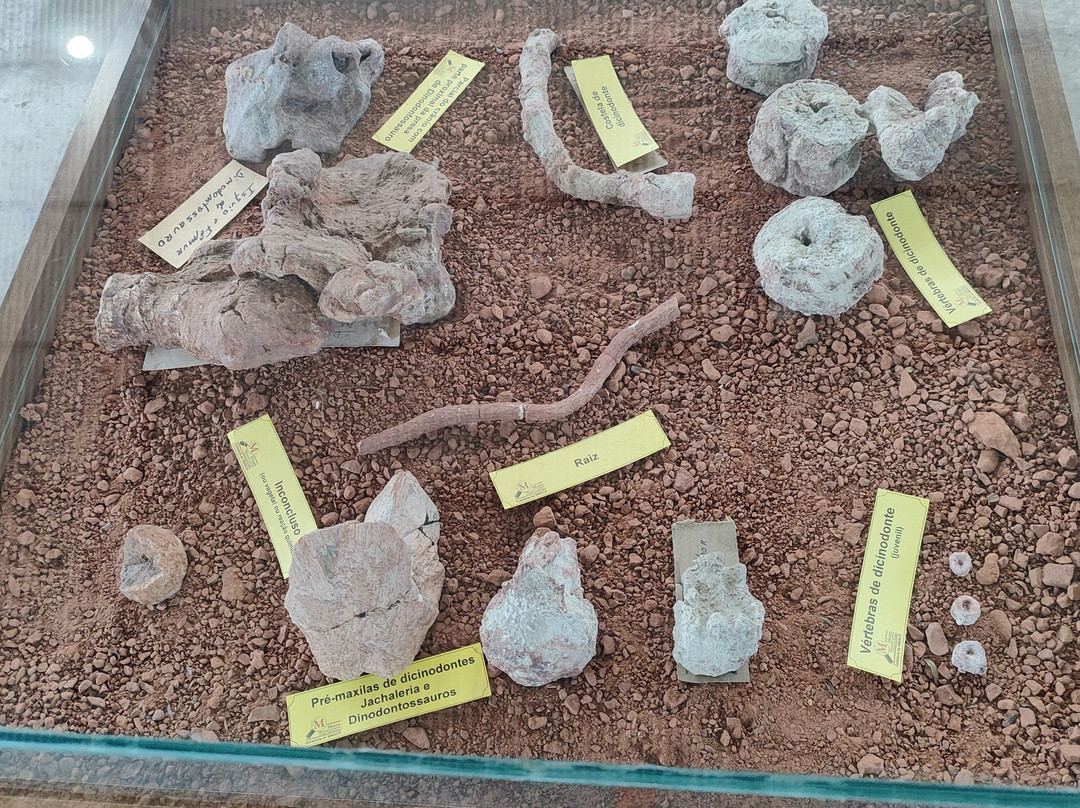 Museum Aristides Carlos Rodrigues-Candelaria必去景点