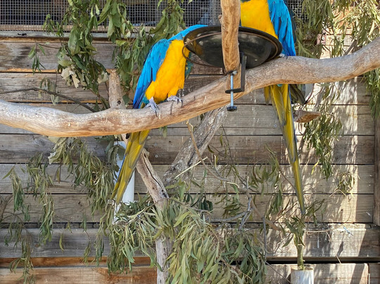The Funky Farm-Hastings必去景点