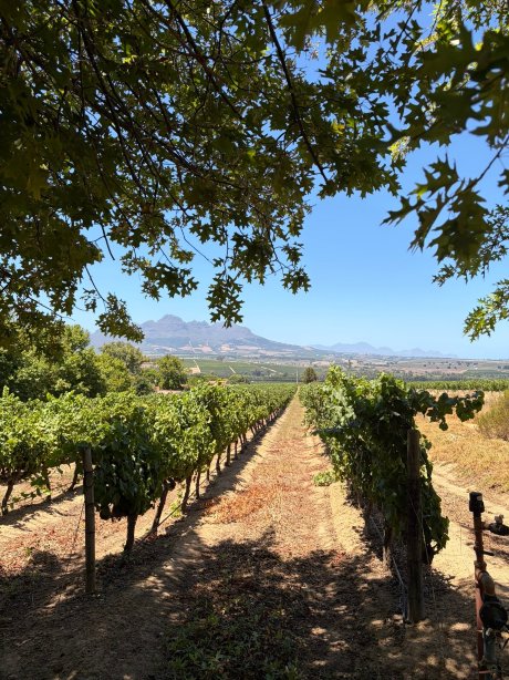 艾萨拉红酒酒店-官方