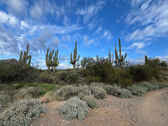 Cave Creek Regional Park-洞溪必去景点