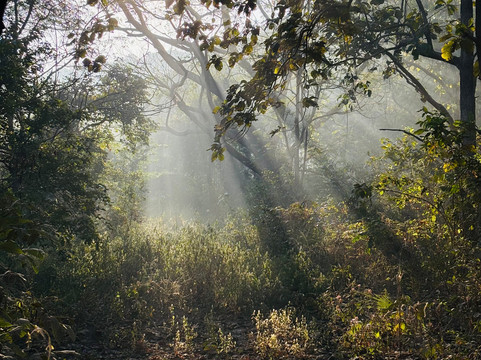 Jungle Buddies Tours-孟买必去景点