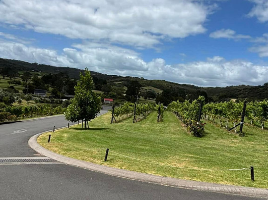 Tantalus Estate Vineyard & Winery-怀系奇岛必去景点