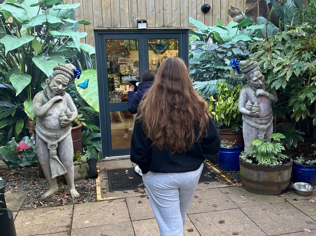 Stratford Butterfly Farm-埃文河畔斯特拉特福必去景点