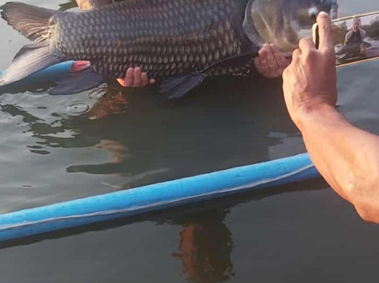 松涛谷钓鱼&木屋度假村主图