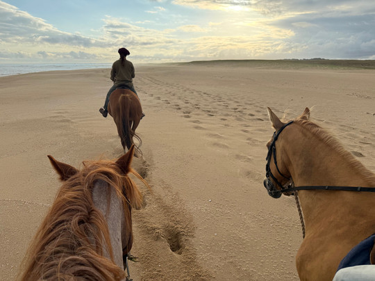 Eco Equus Cabalgatas-La Pedrera必去景点