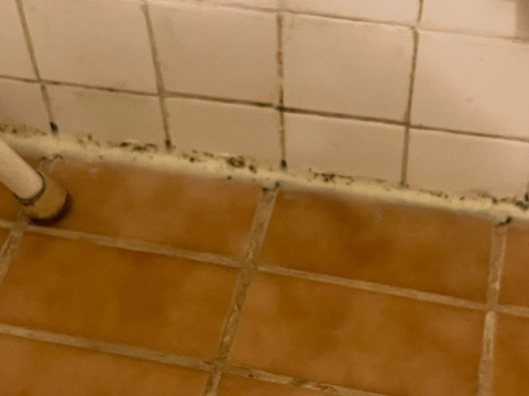 Super 8 by Wyndham Melrose主图