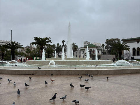 穆罕默德五世广场-卡萨布兰卡必去景点