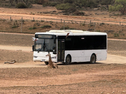 Monarto Safari Park-Monarto必去景点