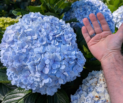 Panama Relocation Tours-波魁特必去景点