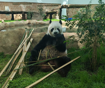 Panda House At Al Khor Park-Al Khor必去景点