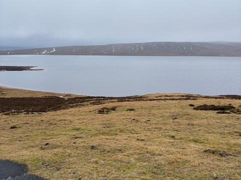 Cauldron Snout-Forest-in-Teesdale必去景点